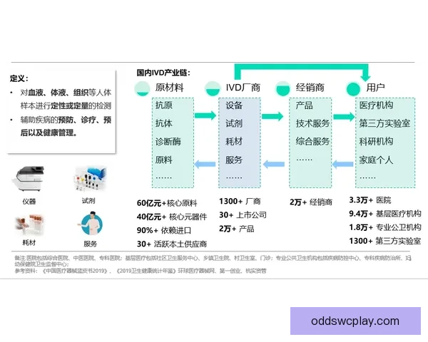 世界杯在线投注趋势解析与安全策略全面指南分享及平台选择技巧深度剖析