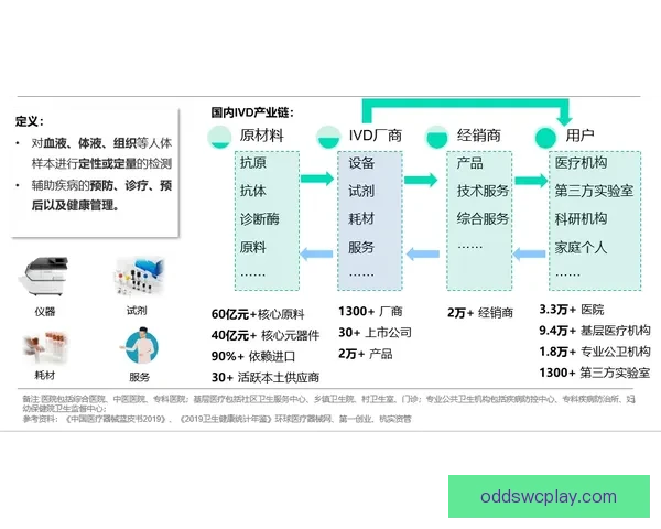 世界杯在线投注趋势解析与安全策略全面指南分享及平台选择技巧深度剖析