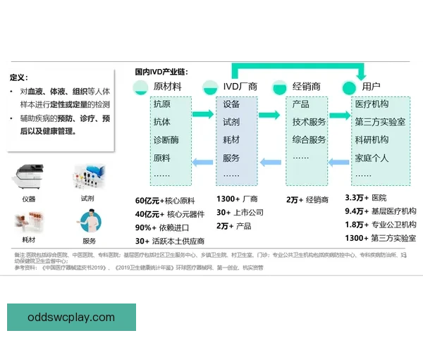 世界杯在线投注趋势解析与安全策略全面指南分享及平台选择技巧深度剖析